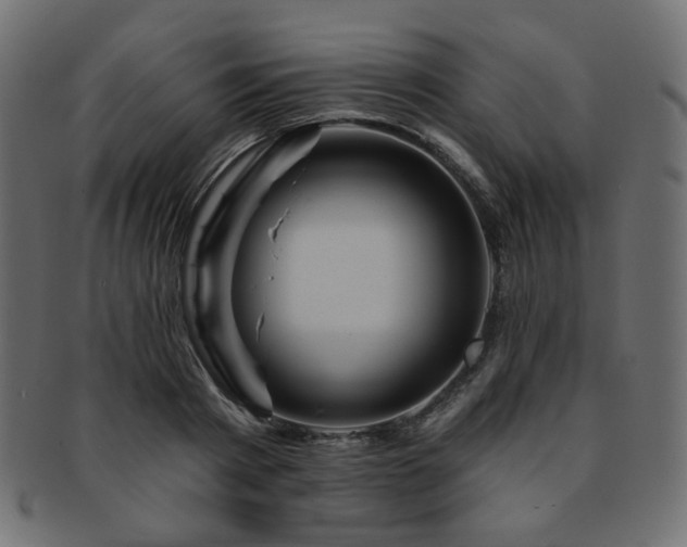X0000093130793200709261347