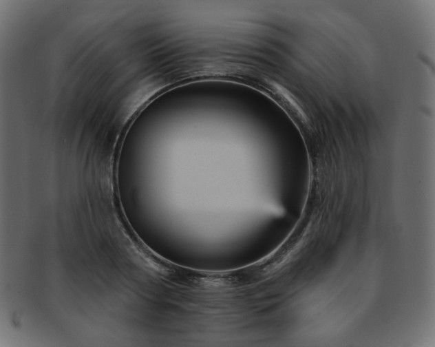 X0000093130794200709261347