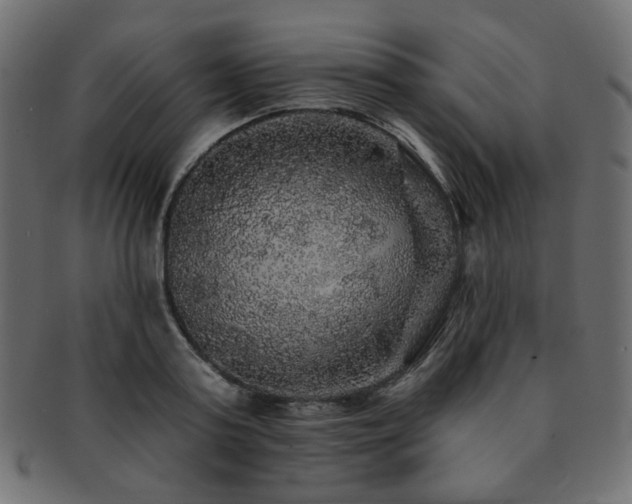 X0000093130795200709261347