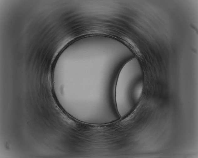 X0000093130796200709261347