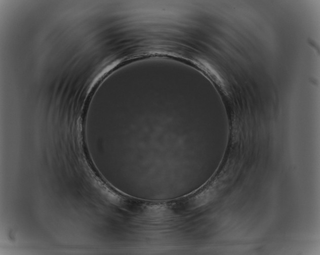 X0000093130798200709261347
