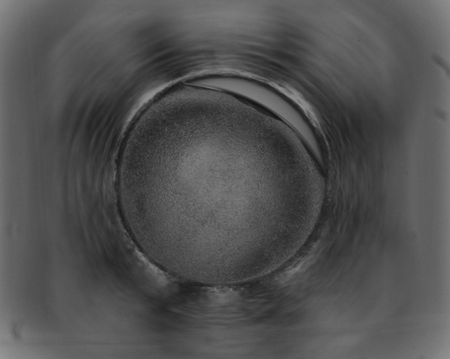 X0000093130799200709261347