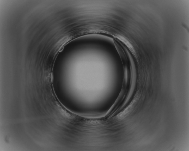 X0000093130801200709261347