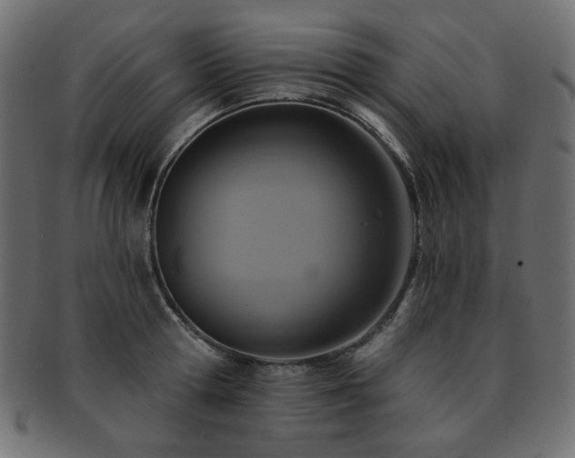 X0000093130802200709261347