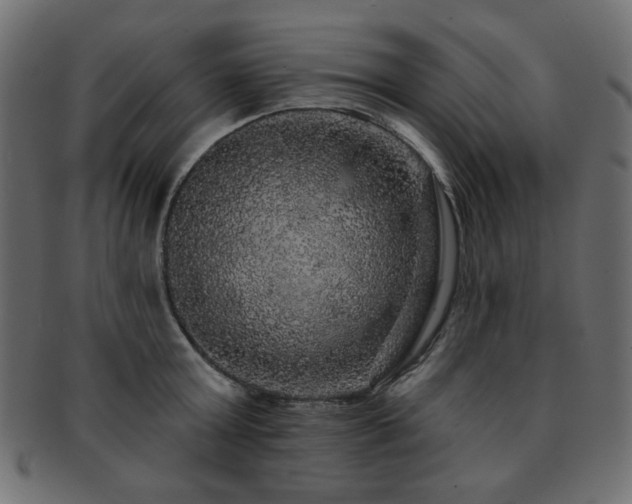 X0000093130803200709261347