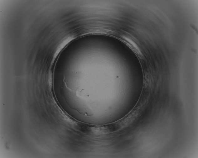 X0000093130804200709261347