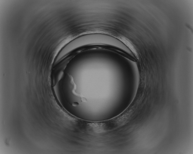 X0000093130805200709261347