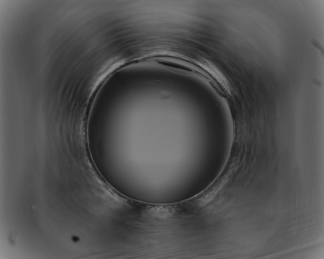 X0000093130806200709261347