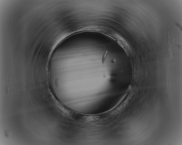 X0000093130808200709261347