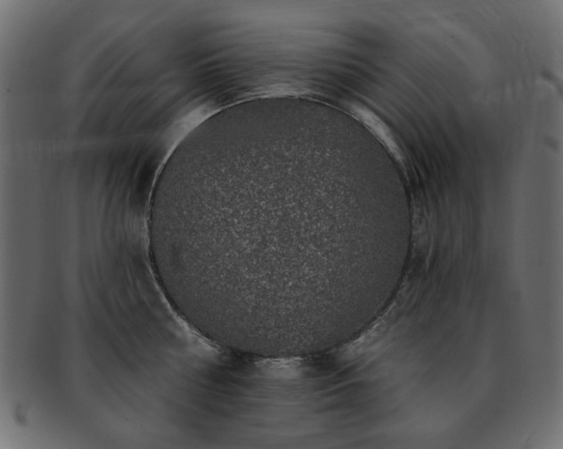 X0000093130810200709261347