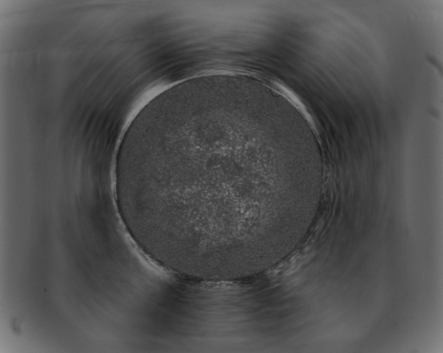 X0000093130811200709261347