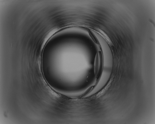 X0000093130812200709261347