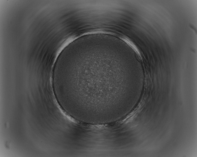 X0000093130813200709261347