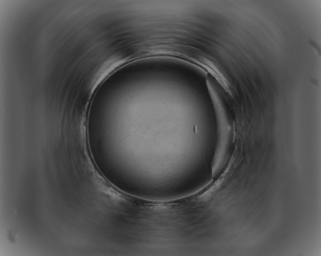 X0000093130814200709261347