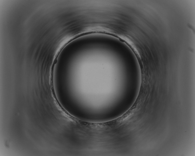 X0000093130815200709261347