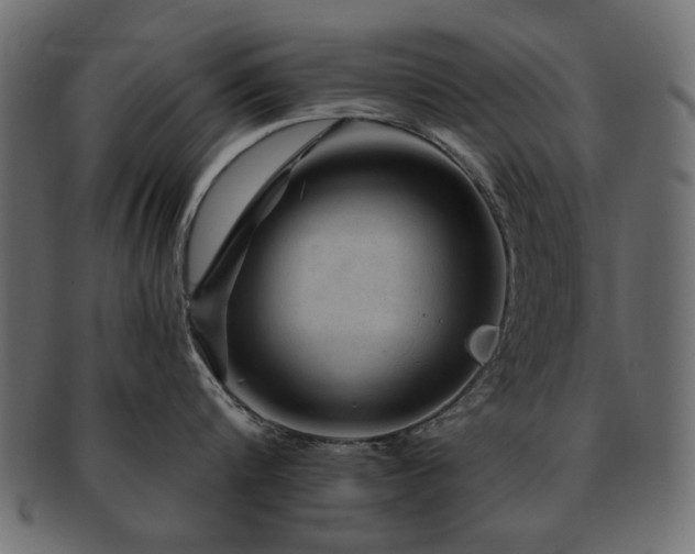 X0000093130816200709261347