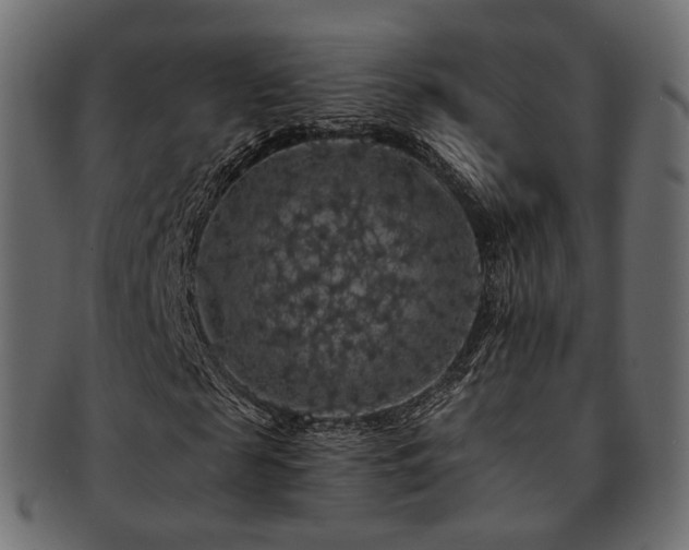 X0000093130817200709261346