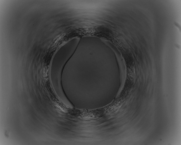 X0000093130818200709261346