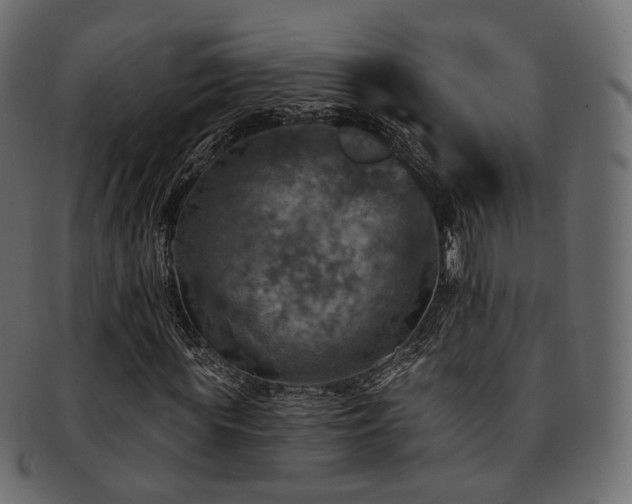 X0000093130819200709261346