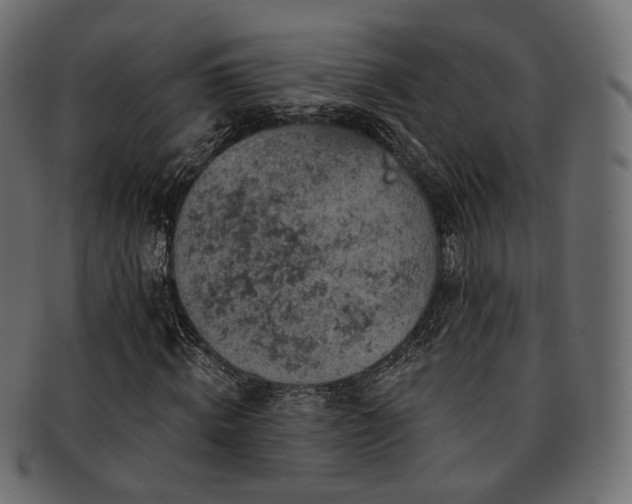 X0000093130820200709261346