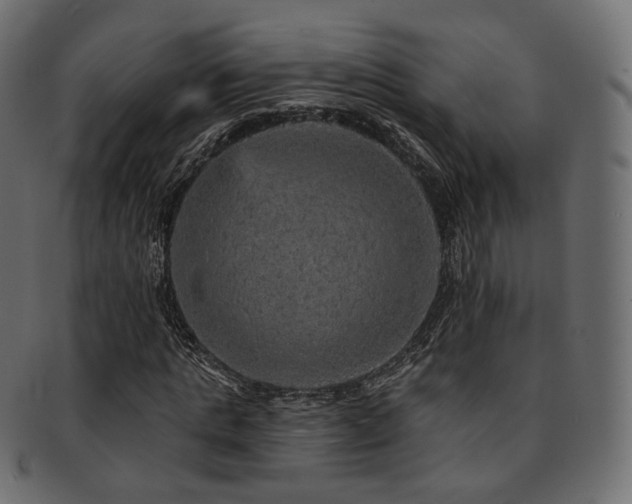 X0000093130821200709261346