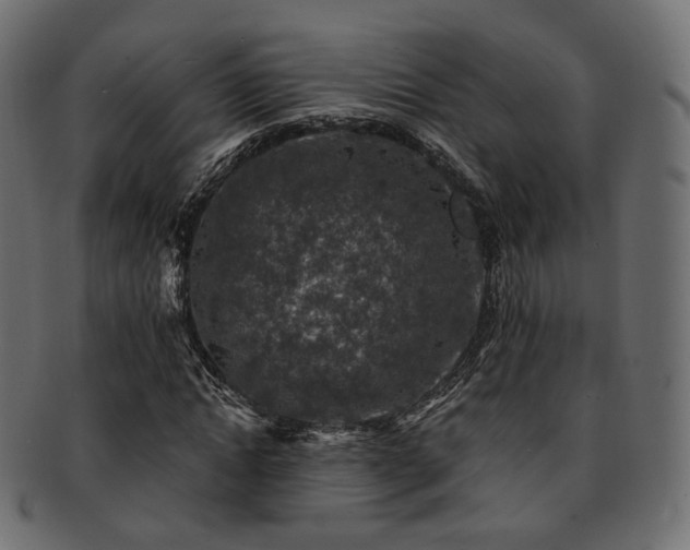 X0000093130822200709261346