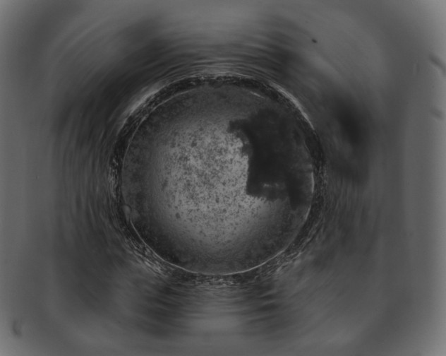 X0000093130823200709261346