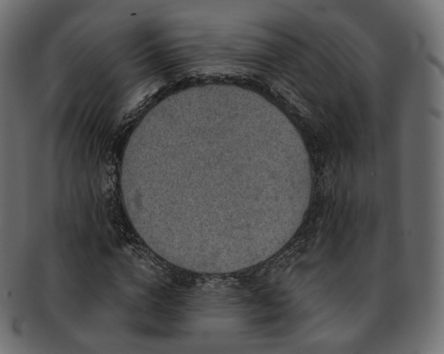 X0000093130824200709261346