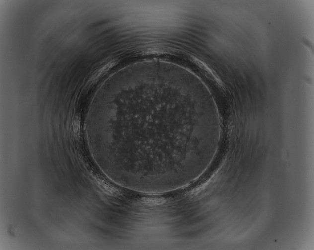 X0000093130825200709261346