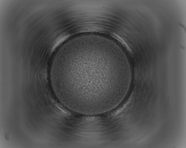 X0000093130826200709261346
