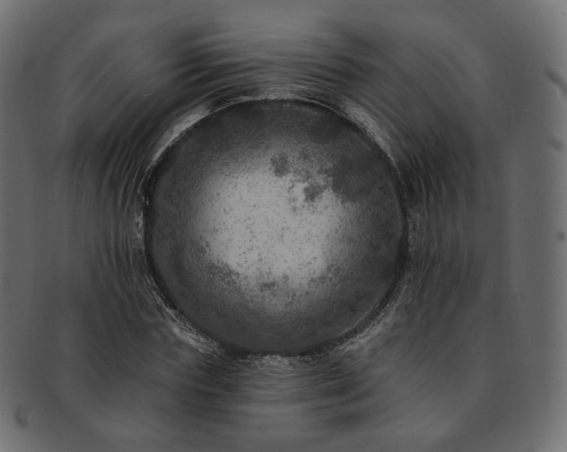X0000093130827200709261346