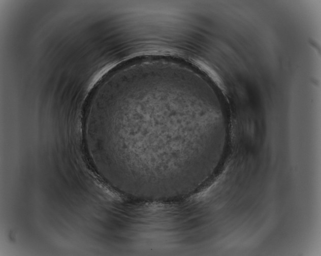 X0000093130829200709261346