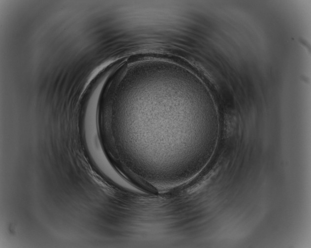 X0000093130830200709261346
