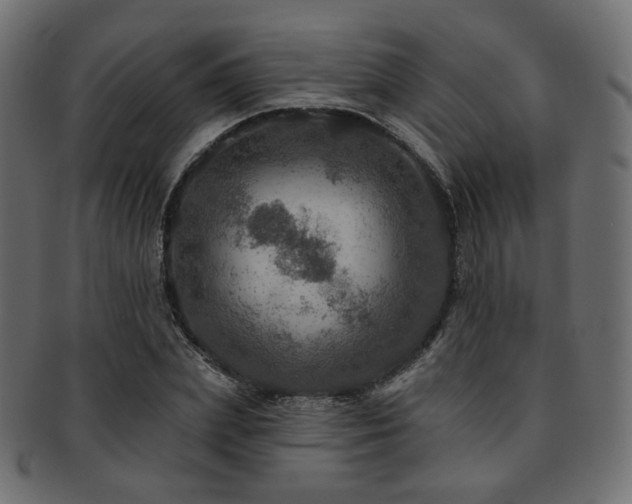 X0000093130831200709261346