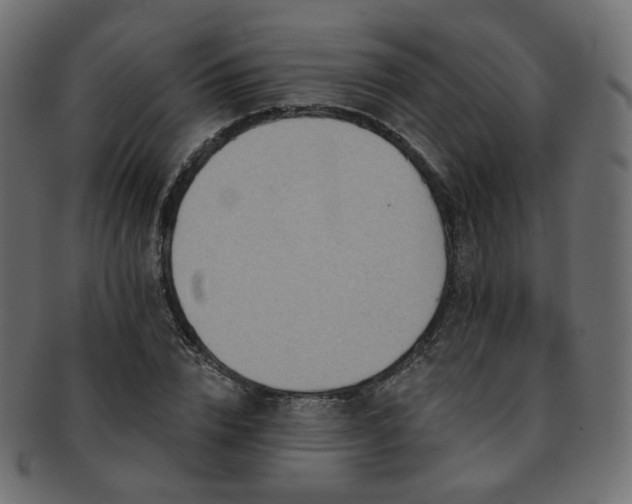 X0000093130832200709261346