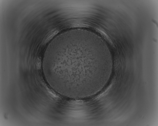 X0000093130833200709261346