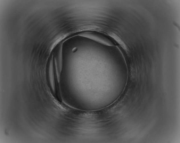 X0000093130834200709261346