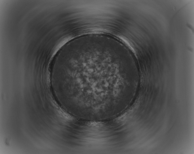 X0000093130835200709261346