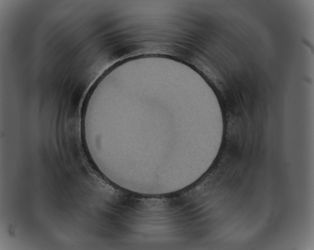X0000093130836200709261346