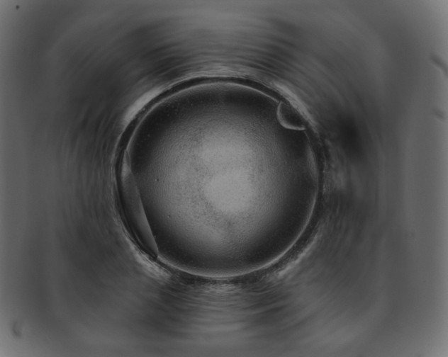 X0000093130837200709261346