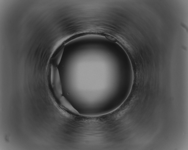 X0000093130838200709261346