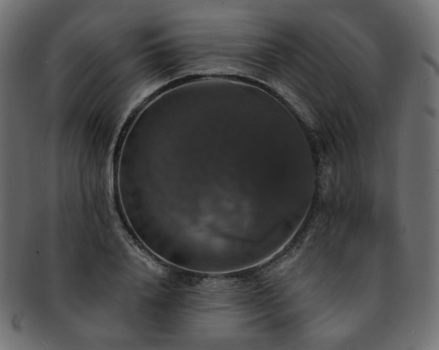 X0000093130840200709261346