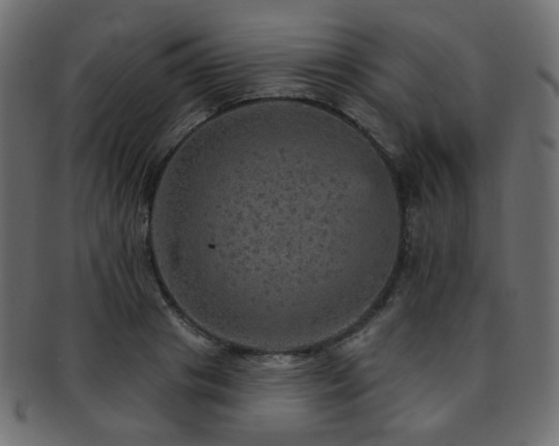 X0000093130841200709261346
