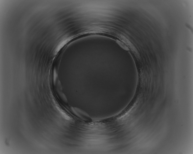 X0000093130842200709261346