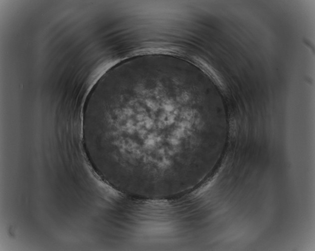 X0000093130844200709261346