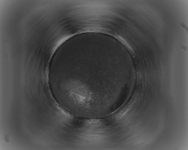 X0000093130846200709261346