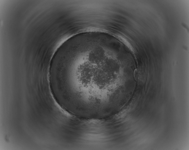 X0000093130847200709261346
