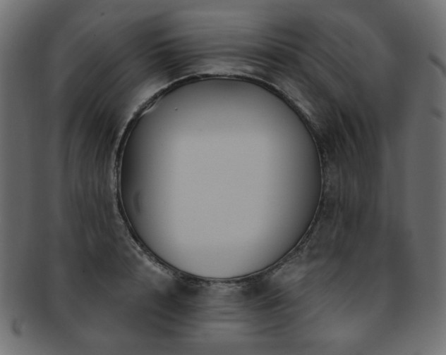 X0000093130848200709261346