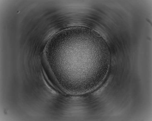 X0000093130849200709261346