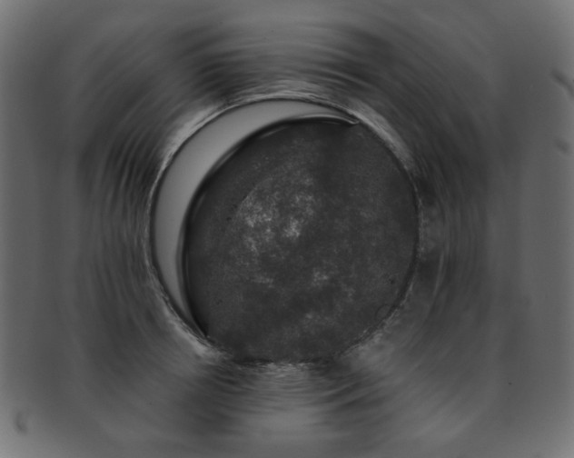 X0000093130850200709261346